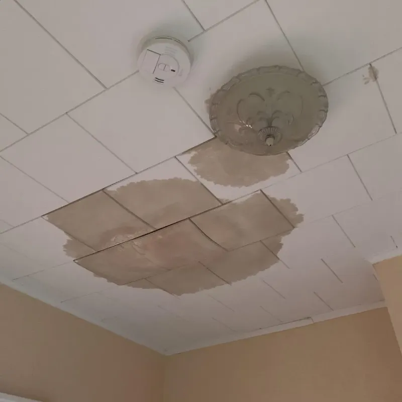 Ceiling Water Damage Repair in Roswell, GA